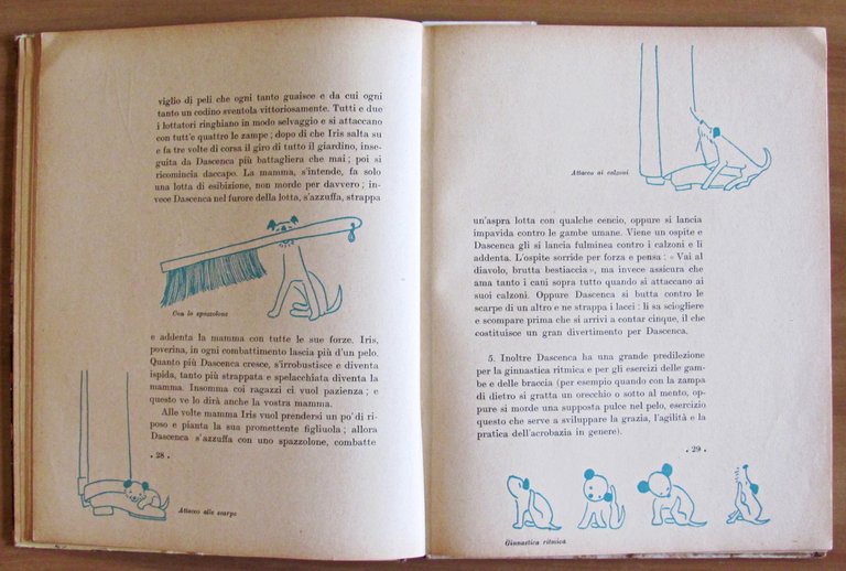 DASCENCA - Vita d'un cucciolo - Illustrazioni e fotografie di …