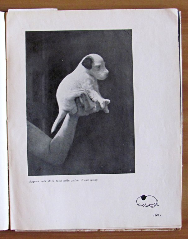 DASCENCA - Vita d'un cucciolo - Illustrazioni e fotografie di …