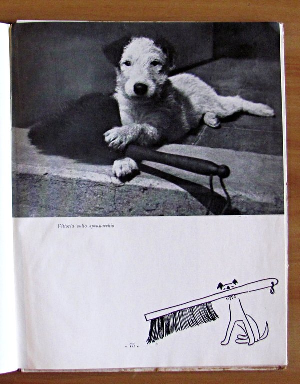 DASCENCA - Vita d'un cucciolo - Illustrazioni e fotografie di …