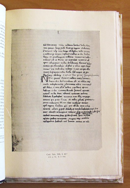 DE EXPEDITIONE PII PAPAE II ADVERSUS TURCOS