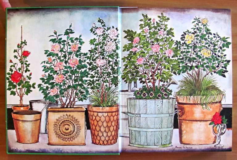 DEL GIARDINO - ill. BRUNO CARUSO