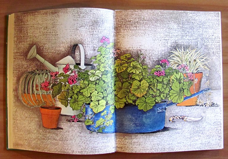 DEL GIARDINO - ill. BRUNO CARUSO