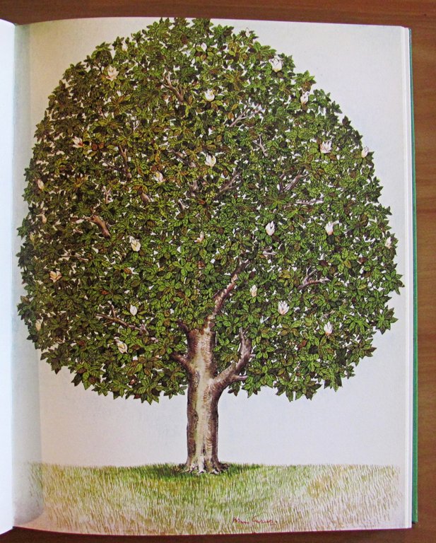 DEL GIARDINO - ill. BRUNO CARUSO