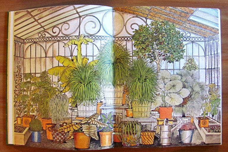 DEL GIARDINO - ill. BRUNO CARUSO