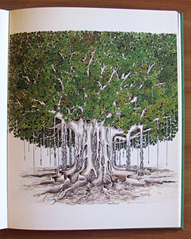 DEL GIARDINO - ill. BRUNO CARUSO