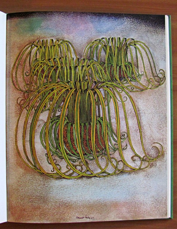 DEL GIARDINO - ill. BRUNO CARUSO