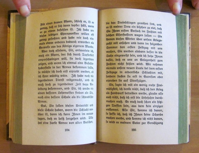 Denkwurdigkeiten eines englischen edelmannes aus dem groben Kriege, 1919