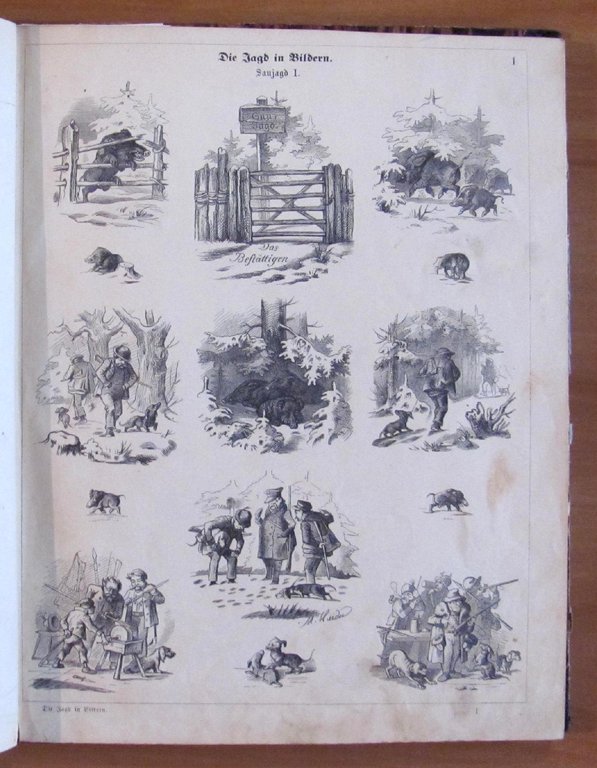 DIE JAGD IN BILDERN - fine '800 - ill. HAIDER …