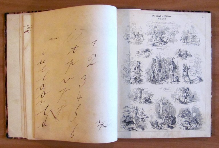 DIE JAGD IN BILDERN - fine '800 - ill. HAIDER …