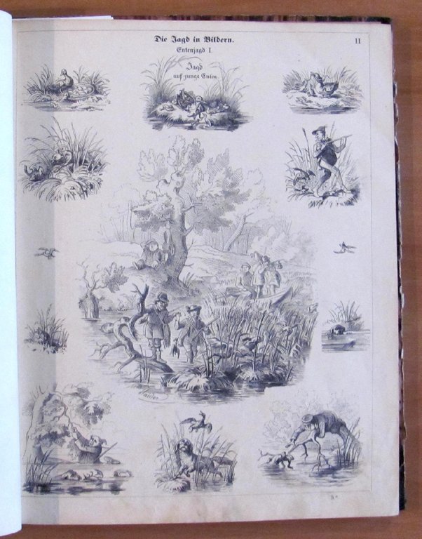 DIE JAGD IN BILDERN - fine '800 - ill. HAIDER …