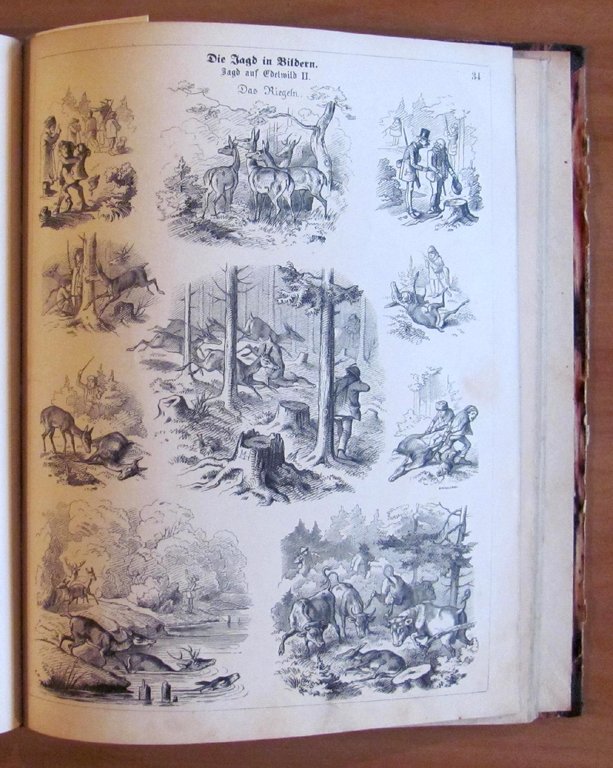 DIE JAGD IN BILDERN - fine '800 - ill. HAIDER …