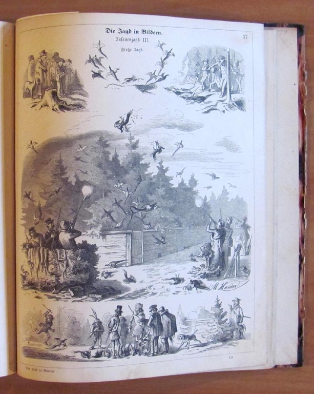 DIE JAGD IN BILDERN - fine '800 - ill. HAIDER …