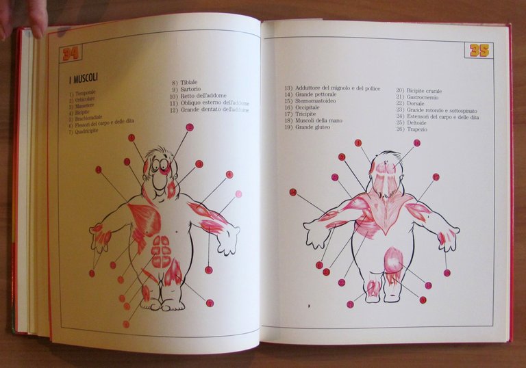 DIVERTIAMOCI CON IL JUDO, I ed. 1986 illustrato | Immagine Gallery 7