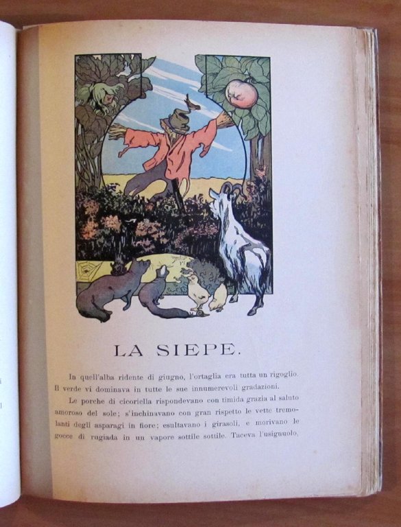 DOV'E' LA GIOIA - Apologhi educativi, I ed. 1905 - …