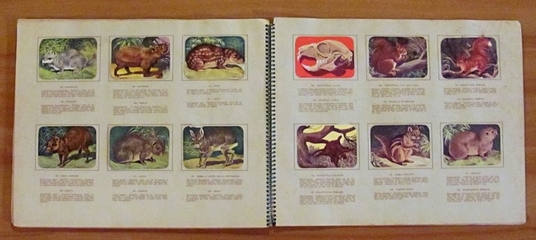 ENCICLOPEDIA DI TOPOLINO - Volume I - I MAMMIFERI Parte …