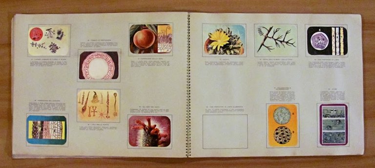 ENCICLOPEDIA DI TOPOLINO - Volume III Parte Prima e Parte …