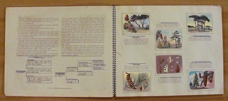 ENCICLOPEDIA DI TOPOLINO - Volume III Parte Prima e Parte …