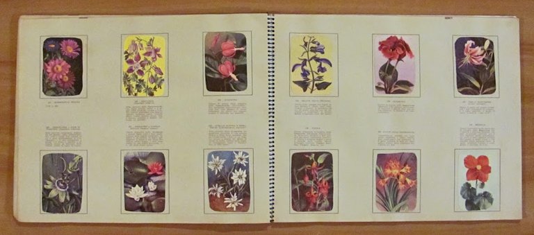 ENCICLOPEDIA DI TOPOLINO - Volume III Parte Prima e Parte …