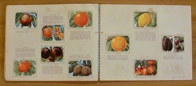 ENCICLOPEDIA DI TOPOLINO - Volume III Parte Prima e Parte …