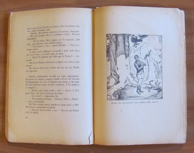ERICA E MIRTILLO - Storia di due bambini e cento …