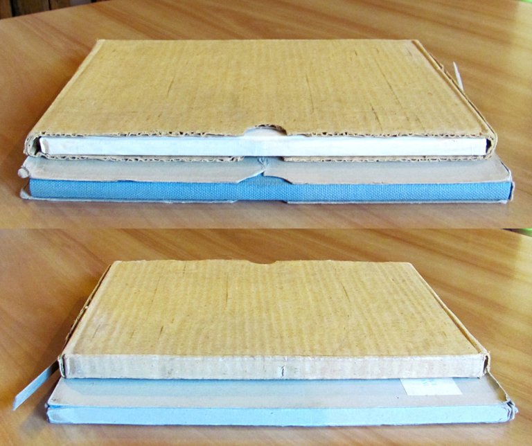 ETTORE SALANI E LA SUA OPERA + LA CASA EDITRICE …