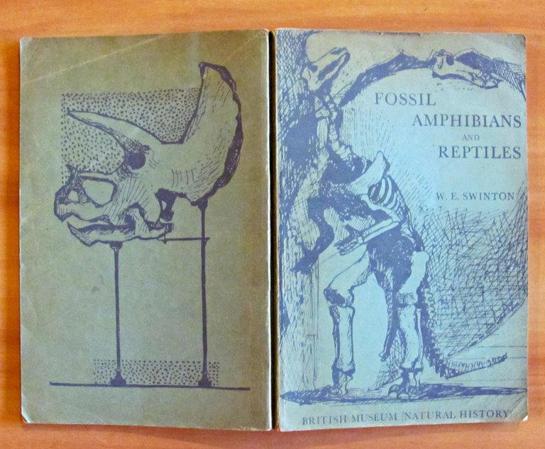 FOSSIL AMPHIBIANS AND REPTILES