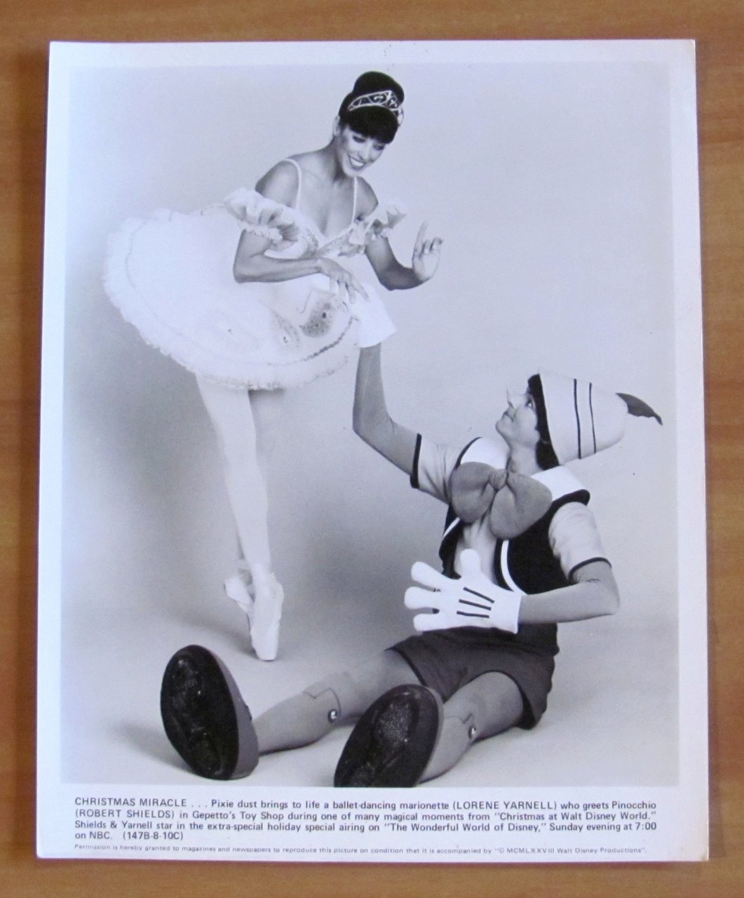 Foto CHRISTMAS MIRACLE - Polvere della FATA da vita a … | Immagine principale