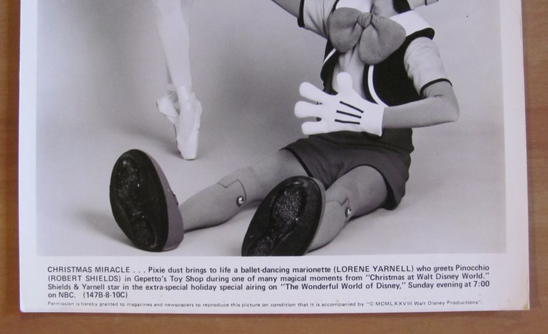 Foto CHRISTMAS MIRACLE - Polvere della FATA da vita a … | Immagine Gallery 2