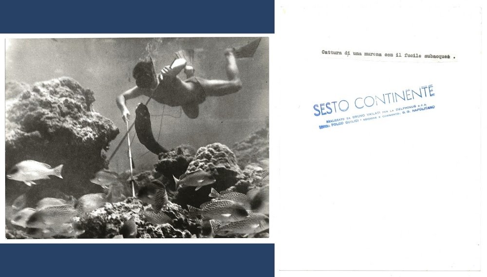 FOTO per SESTO CONTINENTE - Cattura di Murena (QUILICI) con …