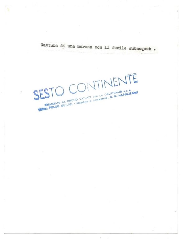 FOTO per SESTO CONTINENTE - Cattura di Murena (QUILICI) con …
