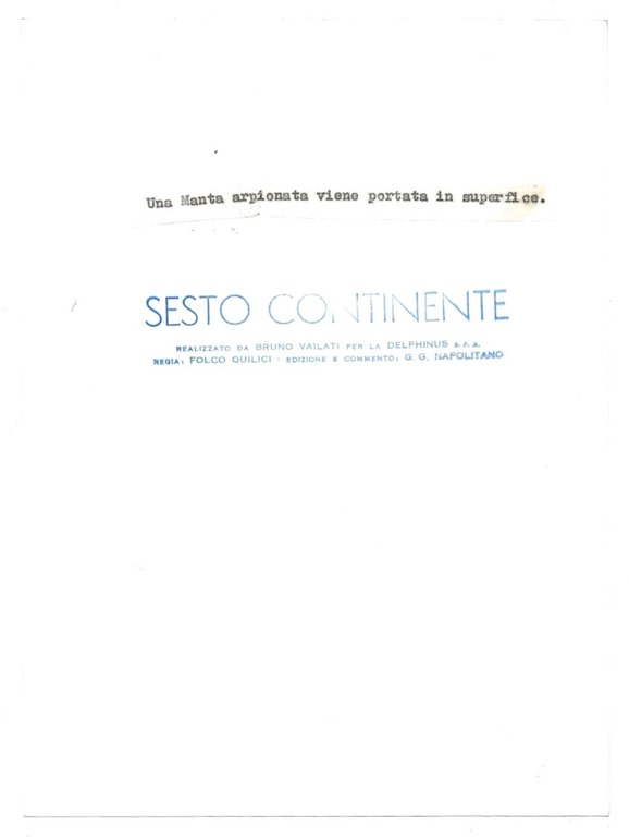 FOTO per SESTO CONTINENTE - Una Manta arpionata da VAILATI …