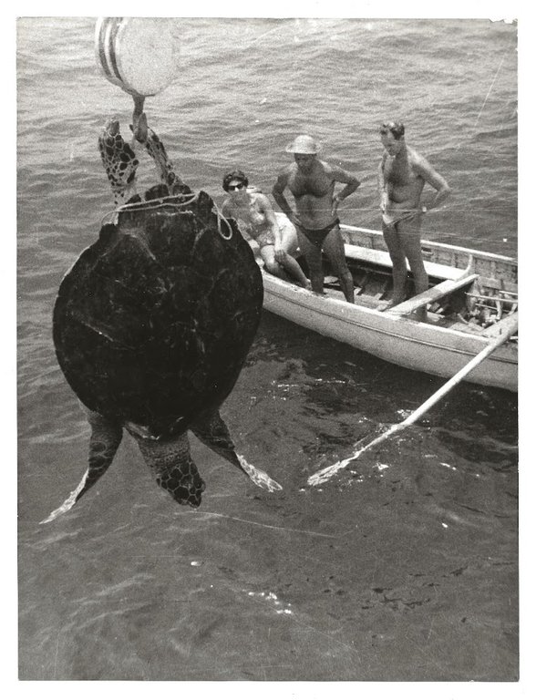 FOTO per SESTO CONTINENTE di FOLCO QUILICI - Cattura di …