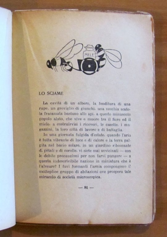 FRATELLO - Libro per la giovinezza, 1923 - ill. POMPEI