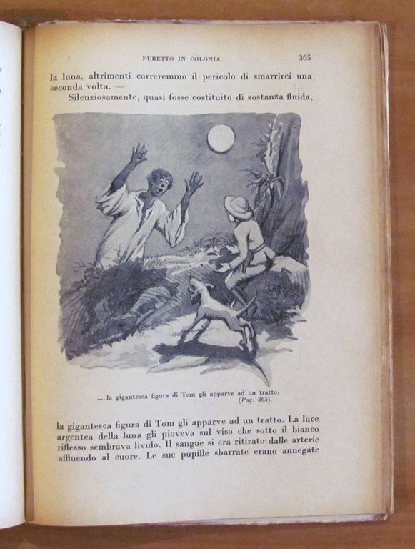 FURETTO IN COLONIA, 1936 - ill. RAIMONDI