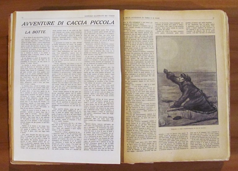 GIORNALE ILLUSTRATO DEI VIAGGI E DELLE AVVENTURE DI TERRA E …