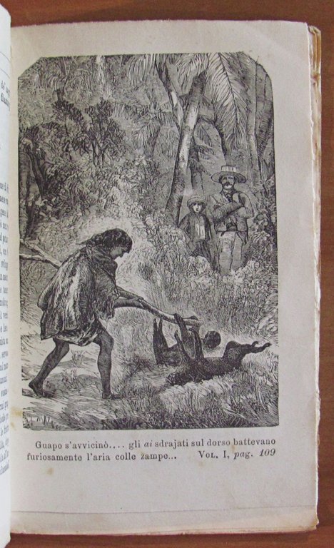 GLI ESULI NELLA FORESTA - 2 Volumi, Completo, 1880