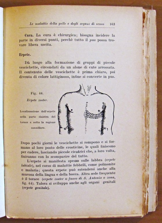 GUARIRE E PREVENIRE LE MALATTIE