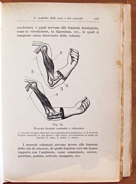 GUARIRE E PREVENIRE LE MALATTIE