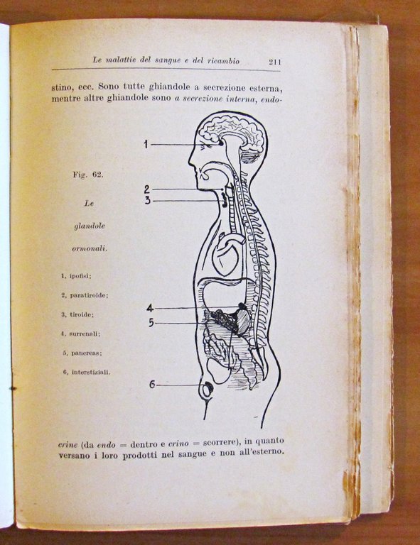 GUARIRE E PREVENIRE LE MALATTIE