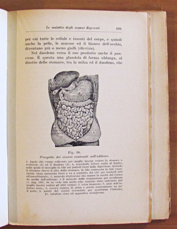 GUARIRE E PREVENIRE LE MALATTIE