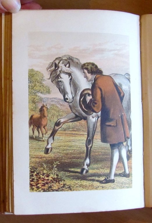 GULLIVER'S TRAVELS into several remote Regions of the World, fine …