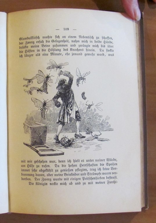 GULLIVERS REISEN zu fremden und celtcamen volkern, 1904 illustrato