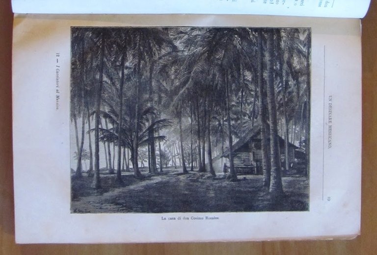 I CACCIATORI AL MESSICO - Avventure di Terra e di …