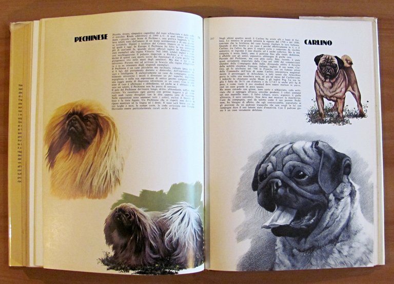 I CANI DEL MONDO, 1977 - ill. COZZAGLIO