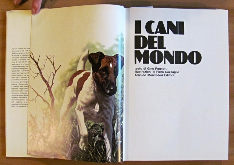 I CANI DEL MONDO, 1977 - ill. COZZAGLIO