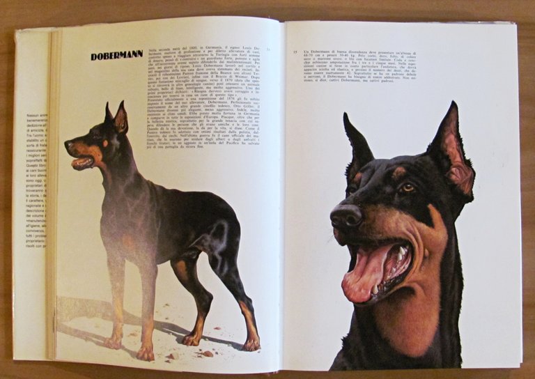 I CANI DEL MONDO, 1977 - ill. COZZAGLIO