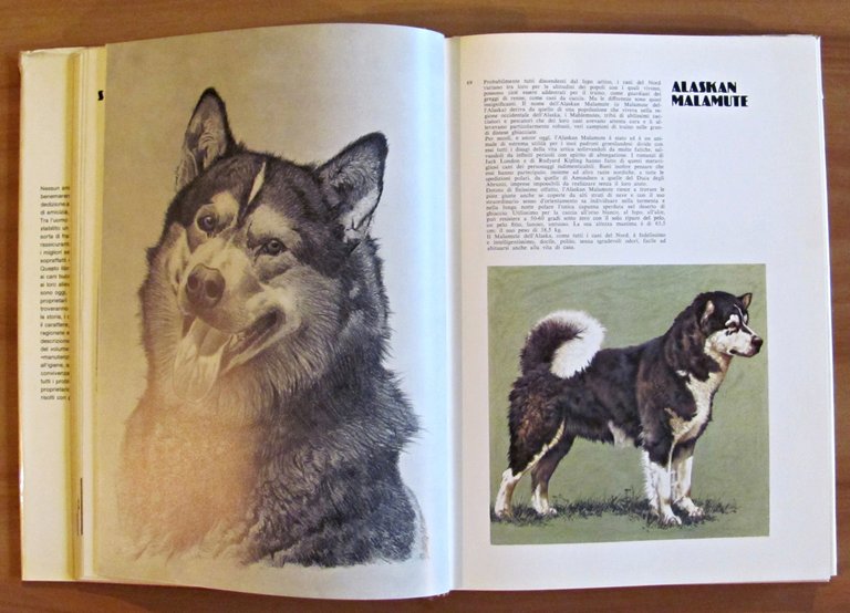 I CANI DEL MONDO, 1977 - ill. COZZAGLIO