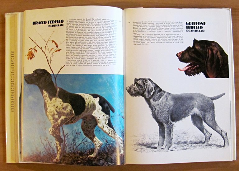 I CANI DEL MONDO, 1977 - ill. COZZAGLIO