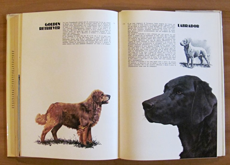 I CANI DEL MONDO, 1977 - ill. COZZAGLIO