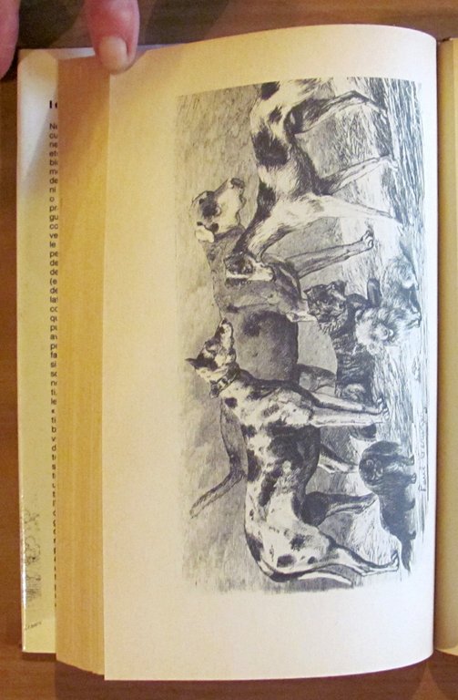 I CANI nella scienza, nella storia, nella leggenda..., I ed. …